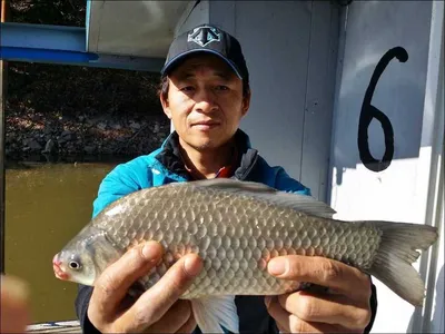 16.10.31 송전지 서울집 조황
