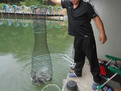 **조황소식&수상좌대이벤트**