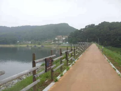 국화지 7월 셋째 주 조황입니다.