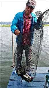 15.08.02 송전지 서울집 조황