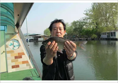 자갈섬낚시터조황정보