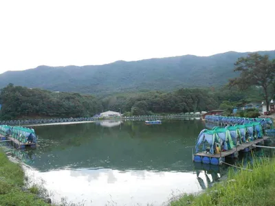 *****실시간 조황올립니다*****