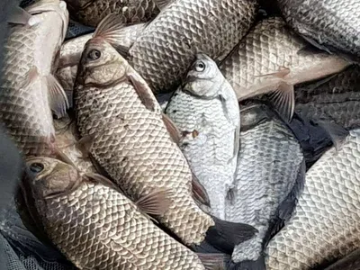 아름다운장계지에서