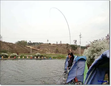 5월 첫 주말 조황정보