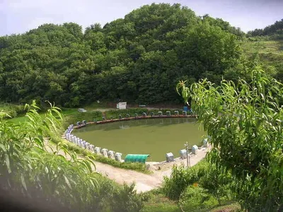 회자정리 거자필반(會者定離 去者必返)