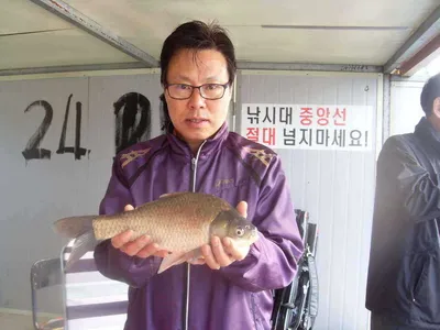 [당진 가교리지] 토종 대물 호조황에 씨알좋은 덩어리들..