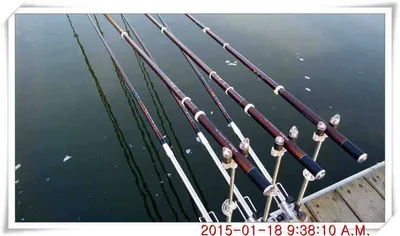 충남 아산 월선낚시터 1월 19일자 스케치