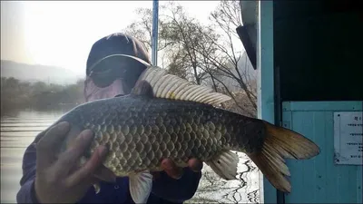 16.04.02 송전지 서울집 조황