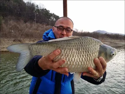 17.03.24 송전지 서울집 조황