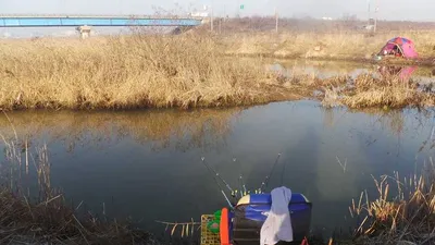 토종잡이터<노진낚시터>조항정보