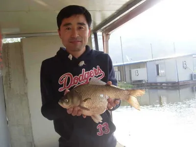 [당진 가교리지 주말 조황정보]