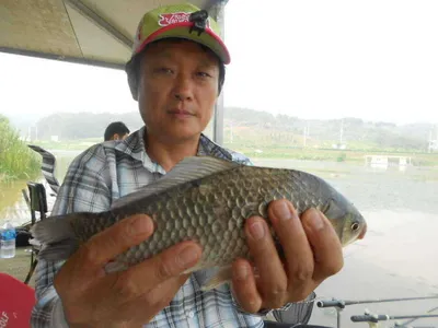 [당진 가교리지 주말 조황정보..]