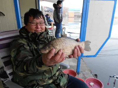 "슬슬 움직이는 토종 큰붕어"