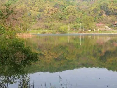 안성 죽산 장계지