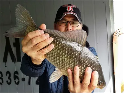 16.04.24 송전지 서울집 조황