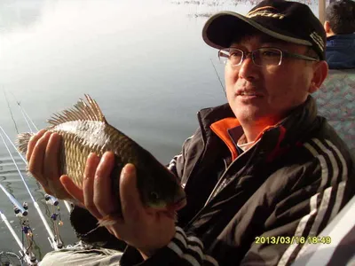 탱탱한 황금빛의 붕어들이...