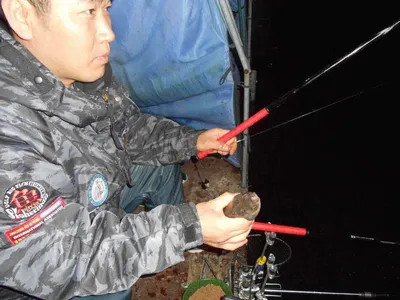 *****실시간 조황사진 올려봅니다*****