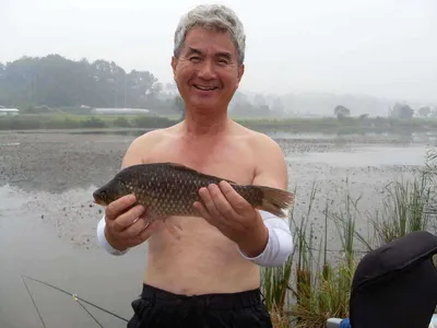 [당진 가교리지] 비가 내려서 오름수위 속에 토종 큰 붕어들...