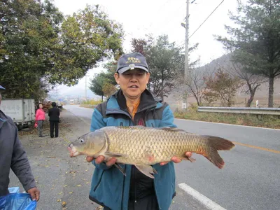 봉림지 11월 초 조황 및 화보 감상하세요