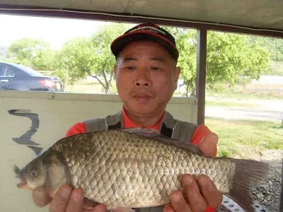 [당진 가교리지] 토종 대물 주말조황 화보..