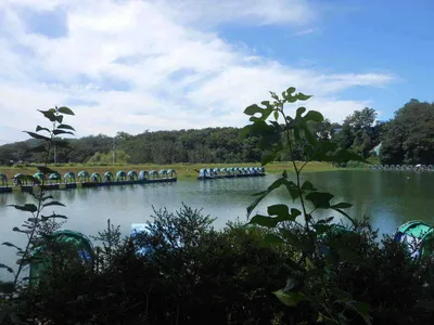 *****실시간 조황사진*****