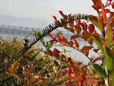 입석낚시터 [토종댐붕어] 10월28일조황