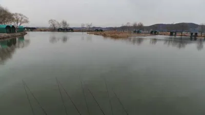 토종잡이터<노진낚시터>조항정보