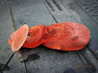 [황청낚시터]5월30일 조황체크