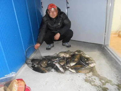 *****조황소식과 무료 수상좌대 마지막주입니다*****