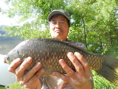 [당진 가교리지 조황 화보]