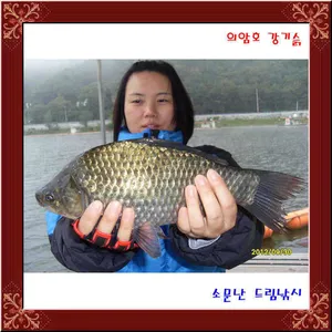 월척 31cm로 추석 명절날 인사드립니다.