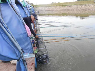 *****실시간 조황사진*****