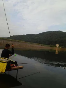 안성 죽산 장계지