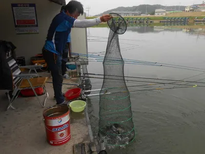 ^^조황소식&수상좌대이벤트^^