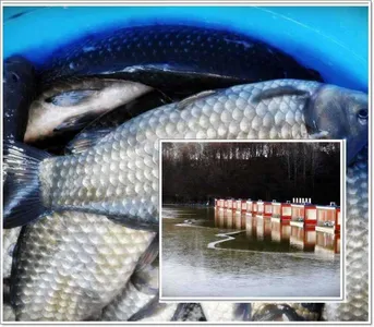 [각평지] 12월 15일 어자원 보강