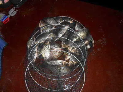 9월18일 조황 정보