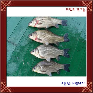 토종월척에 떡덩어리에 좌대비는 33,000원 입니다.