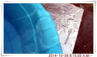 충남 아산 월선낚시터 10월 28일자 조황정보