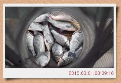 충남 아산 월선낚시터 3월 1일자 스케치