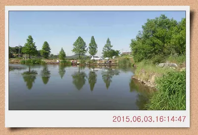 충남 아산 월선낚시터 6월 4일자 스케치