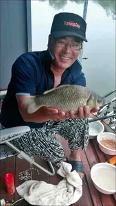 15.08.02 송전지 서울집 조황