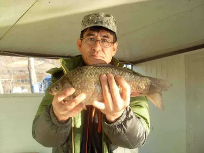 [당진 가교리지] 토종 덩어리와 4자!!!..