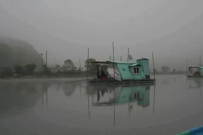 황금 빛나는 붕순이를 만나면...