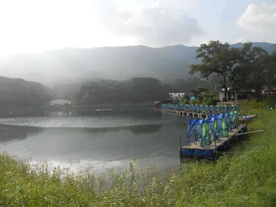 *****실시간 조황사진*****