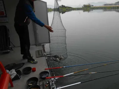 ^^조황소식&수상좌대이벤트^^