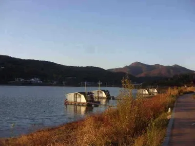 국화지 11월 첫째 주 조황 스케치