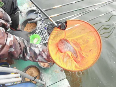 *****실시간 조황사진 입니다*****