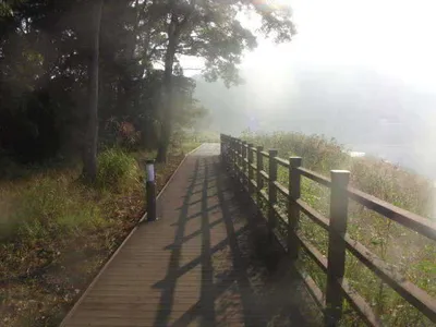 국화지 9월 첫째 주 조황