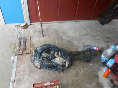 *****실시간 조황사진*****