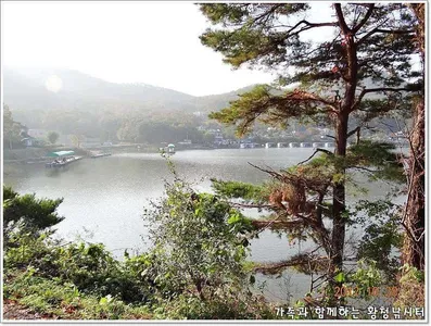 [황 청 지]10월28일 조황정보